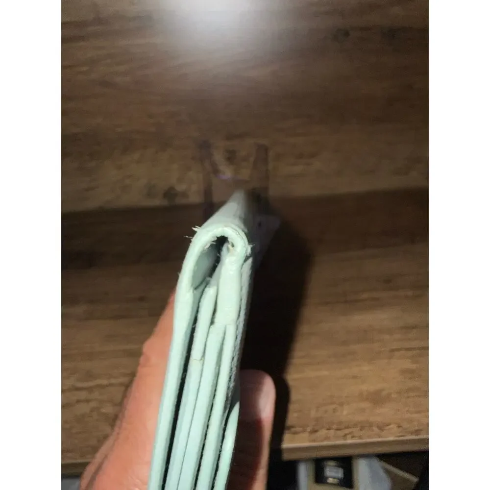 Rare Chanel Coco Button Continental Wallet Pastel Mint Tiffany Blue Caviar